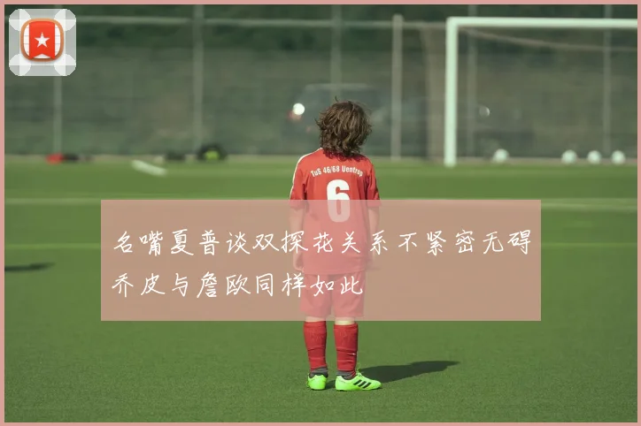 名嘴夏普谈双探花关系不紧密无碍乔皮与詹欧同样如此