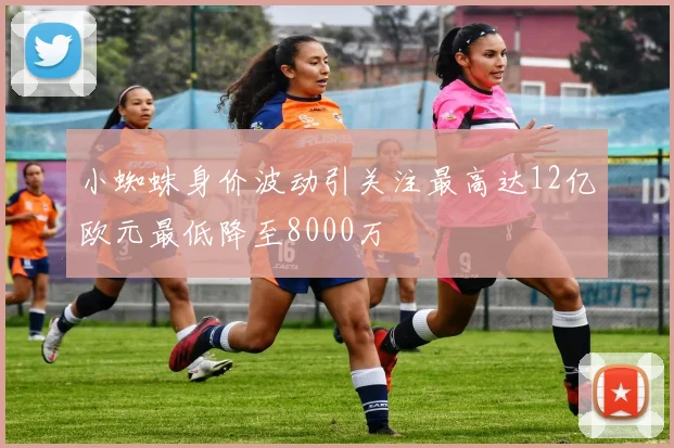 小蜘蛛身价波动引关注最高达12亿欧元最低降至8000万
